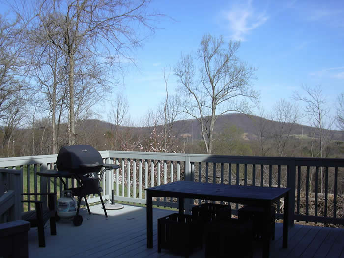 back deck view