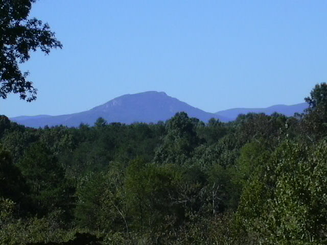 Ridgeveiw Lane Land Washginton Virginia