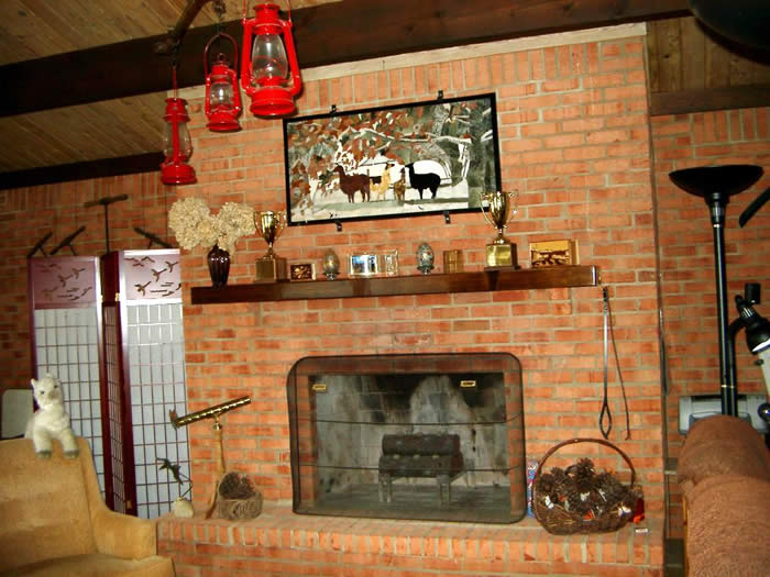 fireplace living room, west wind farm, castleton