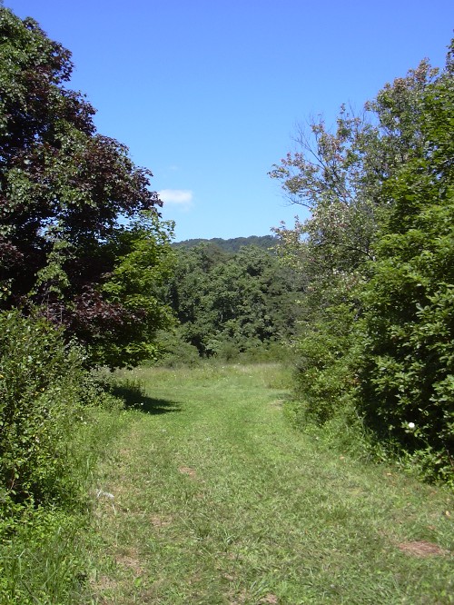 Driveway  Rappahannock County, Flint Hill VA, Bear Wallow Rd. 