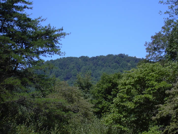 Rappahannock County, Flint Hill VA, Bear Wallow Rd.