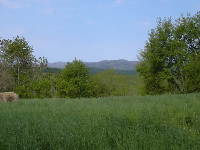 Rapphannock Co. Woodville VA, Mary's Little Shop